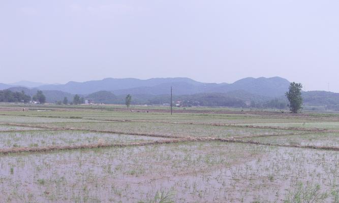 星耀少女栉水田详解（栉水田技能及属性介绍）