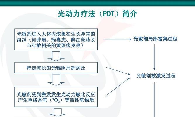 打造完美中锋——以潮人篮球艾拉的技能属性介绍（探究艾拉的特殊属性和技能）