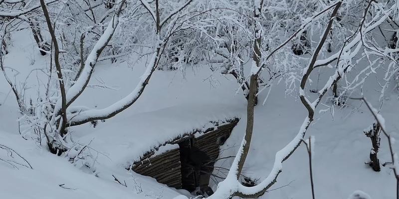 荒野行动圣诞雪战攻略（全面解析最新玩法）