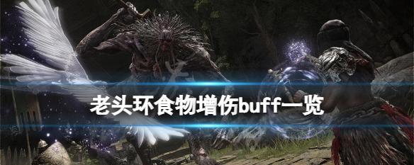 解密极无双中BUFF的神秘力量（探究BUFF对游戏玩家的影响及其应用技巧）