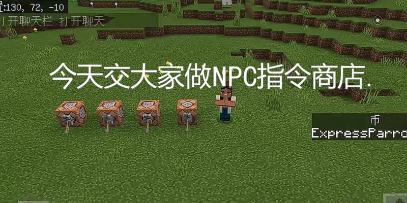 打造个性化NPC——我的世界中的创造之旅（以游戏为主）