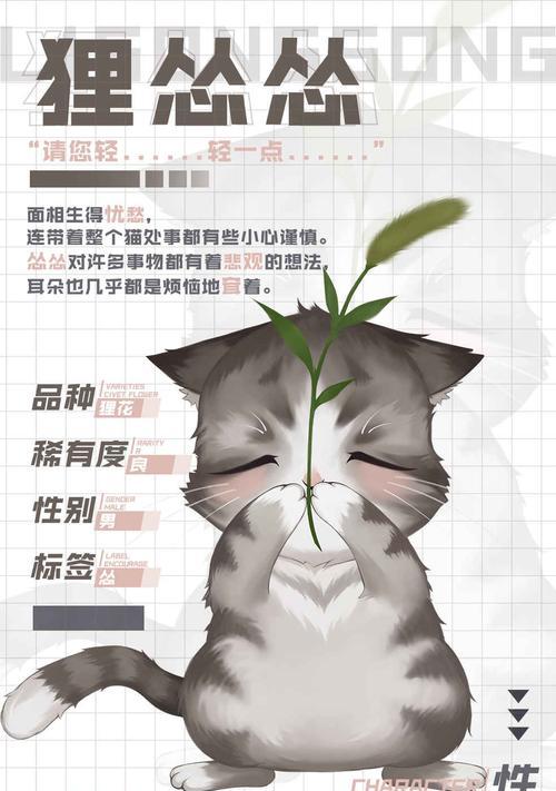 灵猫传（探索灵猫的升级秘籍）