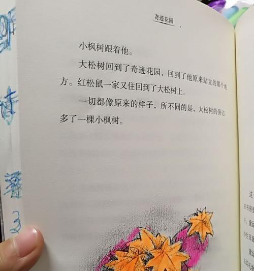 我的花园世界最大纪录？如何创造这一奇迹？